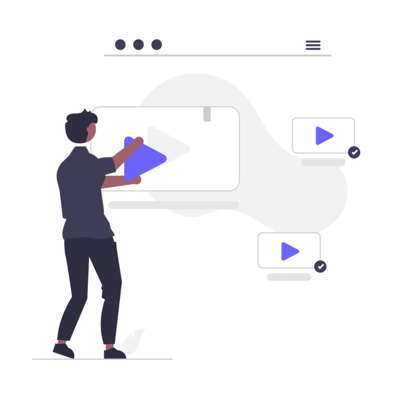 Input Your Video Prompt