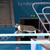AI Cats Diving
