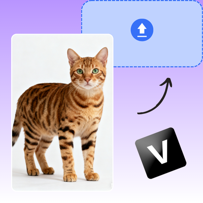 Upload Your Cat Photo