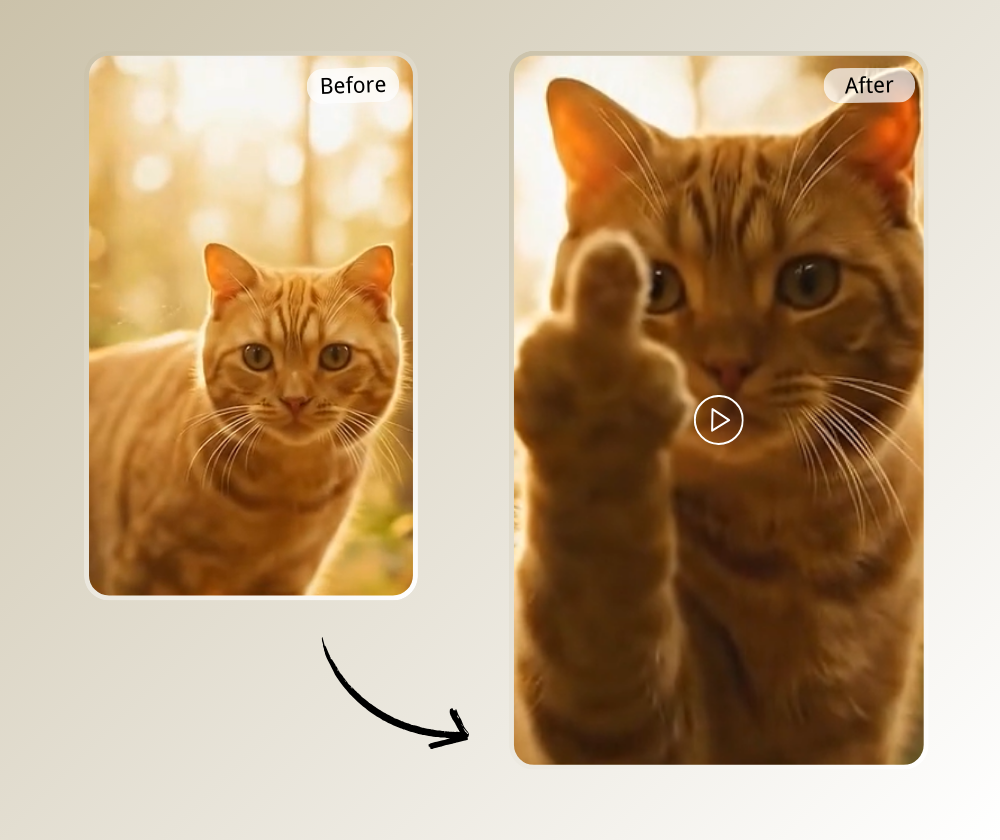 AI Middle Finger Generator -  Make Viral Pet Videos Free