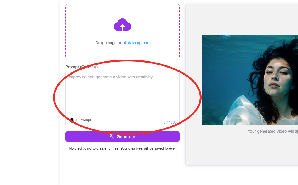 Step 2: Choose an Animation Style or Add Prompts